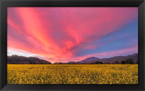 Framed Spring Sunset Napa Valley Print