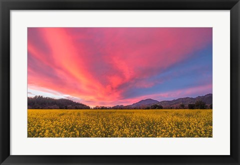 Framed Spring Sunset Napa Valley Print