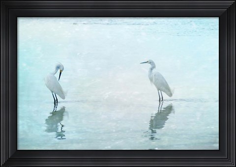 Framed White Cranes Print