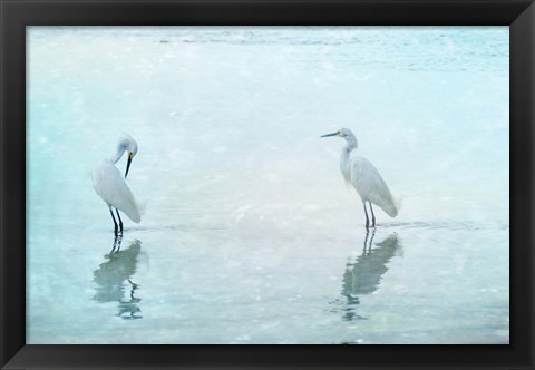 Framed White Cranes Print