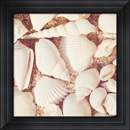 Framed Beachcomber Print
