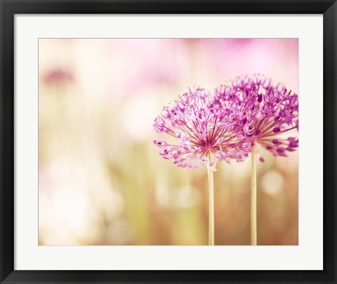 Framed Bloom Print