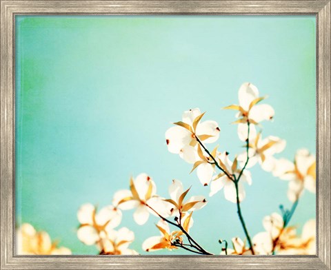 Framed Blossoms Adrift Print