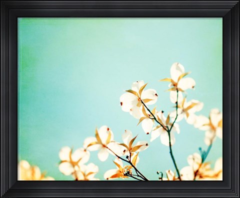 Framed Blossoms Adrift Print