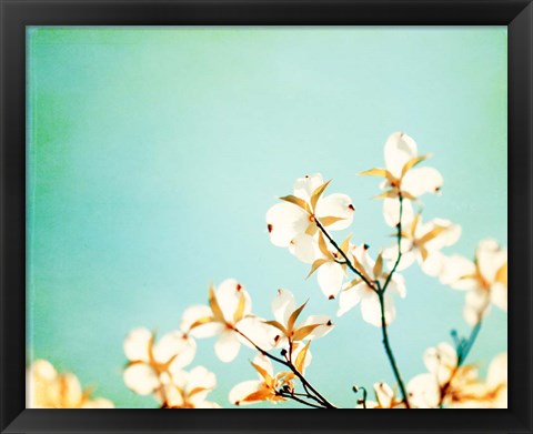 Framed Blossoms Adrift Print