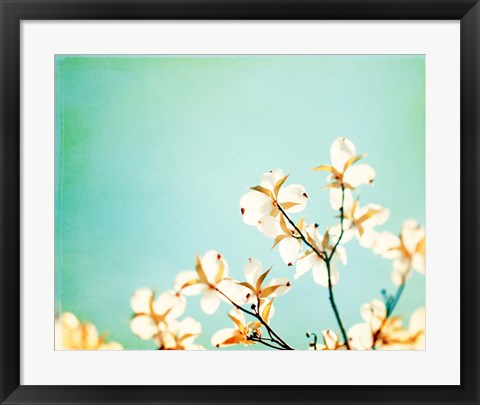 Framed Blossoms Adrift Print