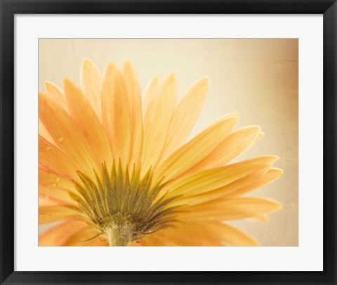 Framed Butterscotch Print