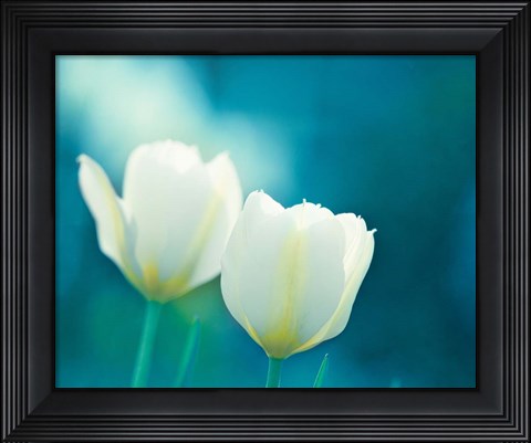 Framed Charisma Print