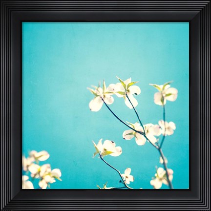Framed Delicate Print