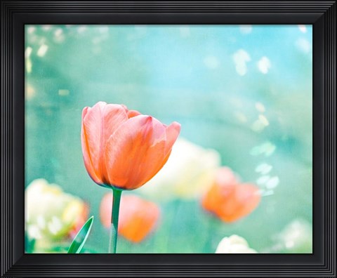 Framed Garden of Dreams Print