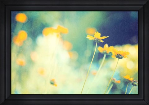 Framed In the Meadow Print