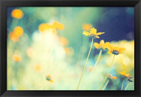 Framed In the Meadow Print