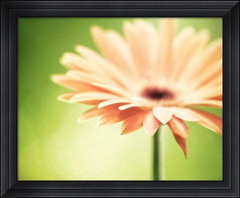 Framed Joyful Print