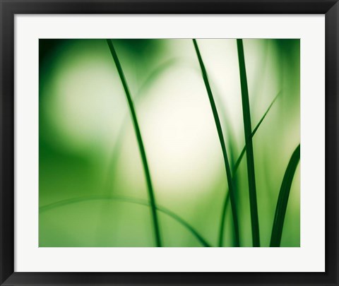 Framed Natural Flow Print