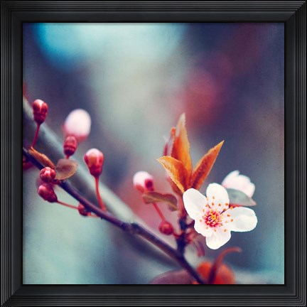 Framed Nature&#39;s Palette Print