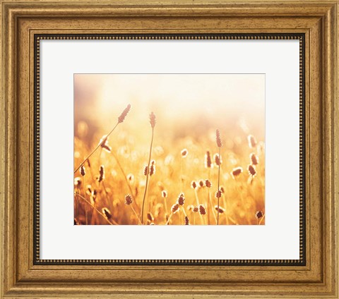 Framed Nothing Gold Can Stay Print