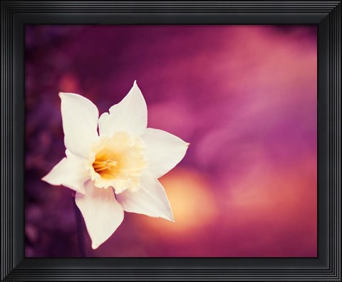 Framed Outburst Print
