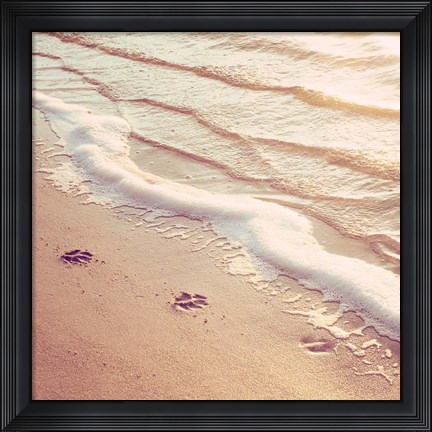 Framed Paw Prints Print