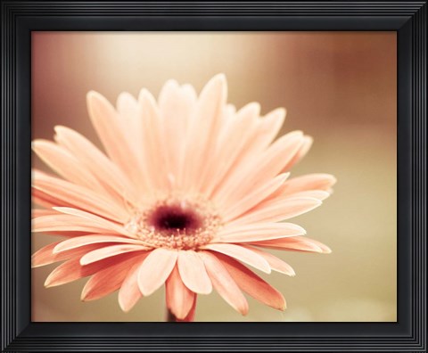 Framed Peachy Keen (tan) Print