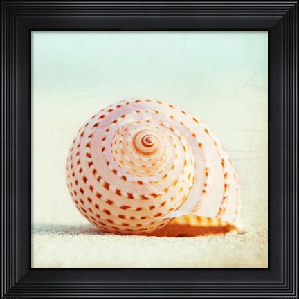 Framed Seashell Voices Print