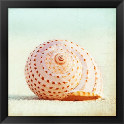 Framed Seashell Voices Print