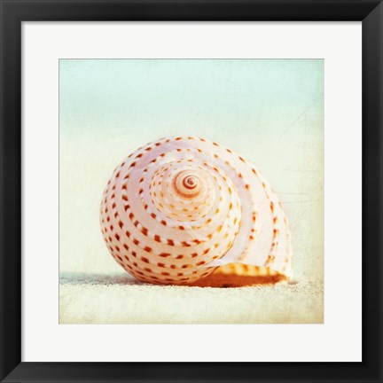 Framed Seashell Voices Print