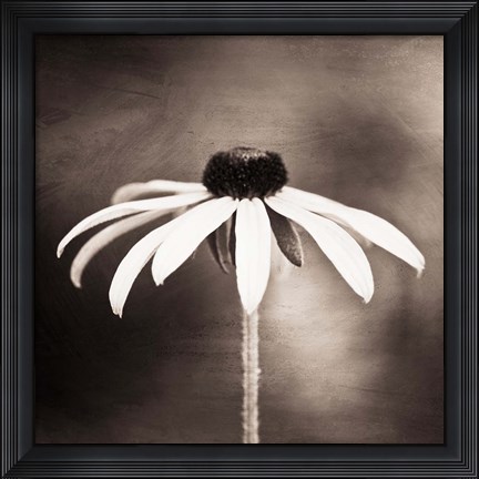 Framed Simply Stated Print