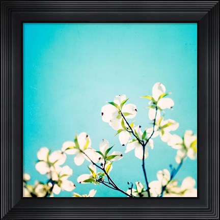 Framed Skies of Blue Print