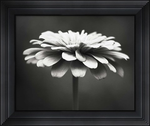 Framed Spellbinding Print