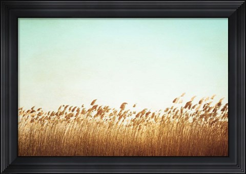 Framed Swaying Print