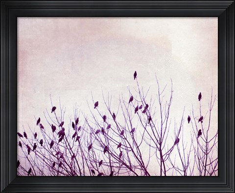 Framed Pause that Refreshes Print