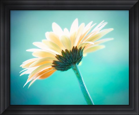 Framed Vanity Print