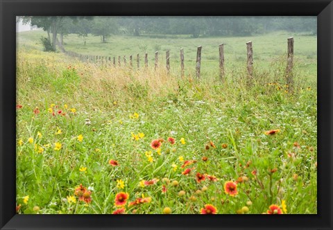 Framed Flowers and Fence Print