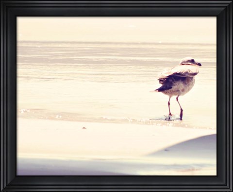Framed Bird at The Beach Print