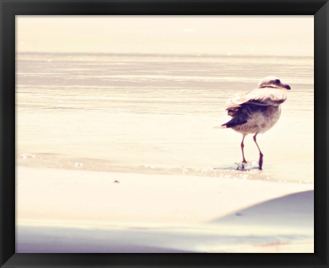 Framed Bird at The Beach Print