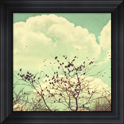 Framed Birds of a Feather Print