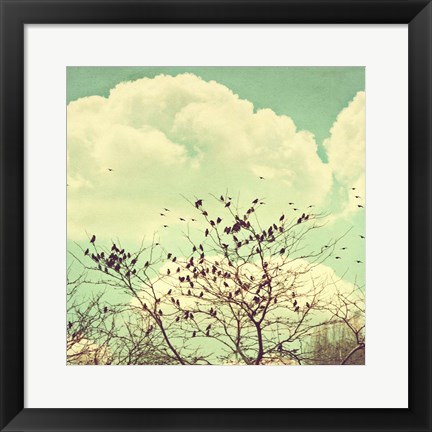 Framed Birds of a Feather Print