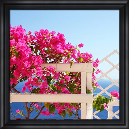 Framed Santorini Blooms Print