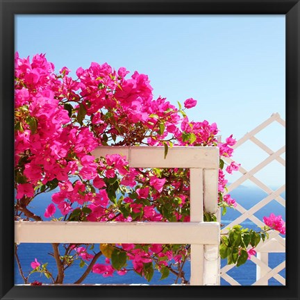 Framed Santorini Blooms Print