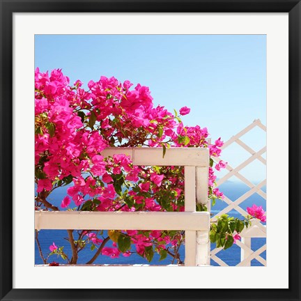 Framed Santorini Blooms Print