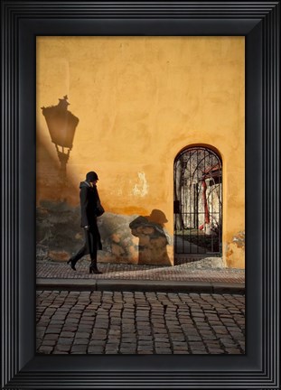 Framed Mala Strana Print