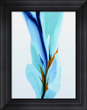 Framed Spring&#39;s Calling Card Print