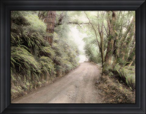 Framed Lost Coast Road Print