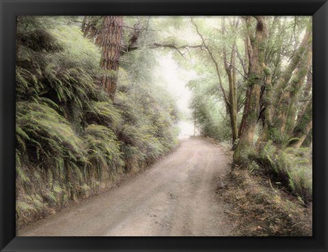 Framed Lost Coast Road Print