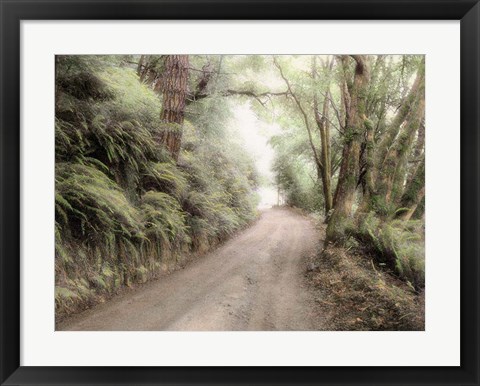 Framed Lost Coast Road Print