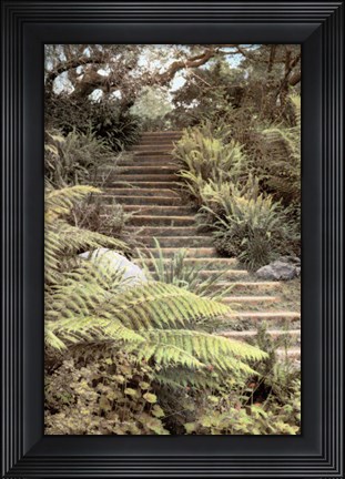 Framed Secret Steps Print