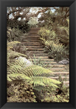 Framed Secret Steps Print