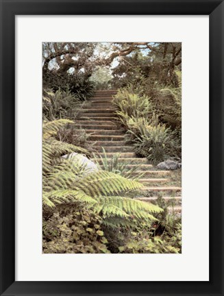 Framed Secret Steps Print