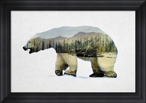Framed Arctic Polar Bear Print