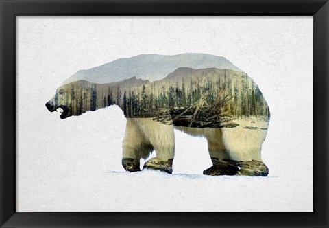 Framed Arctic Polar Bear Print